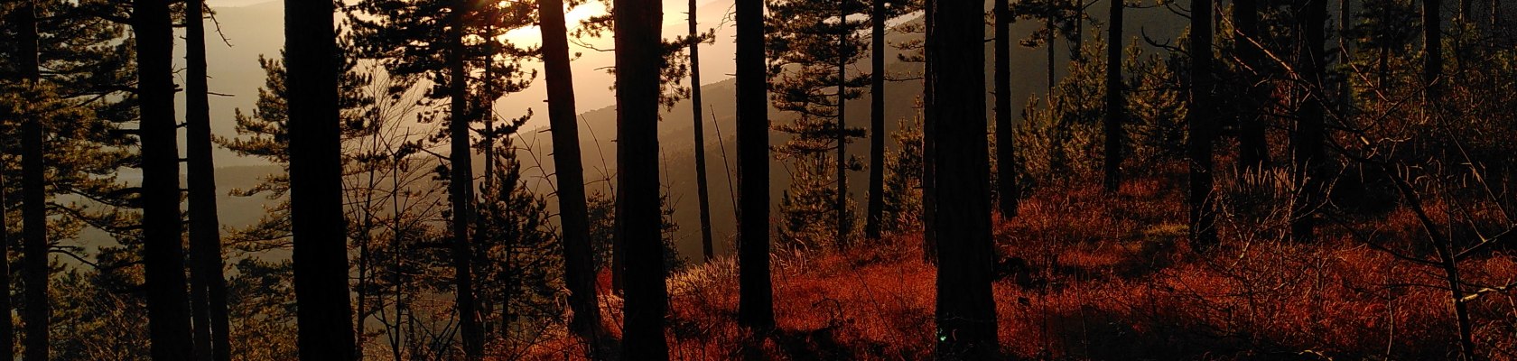 herbstwald, &copy; St.Kn&ouml;pfer