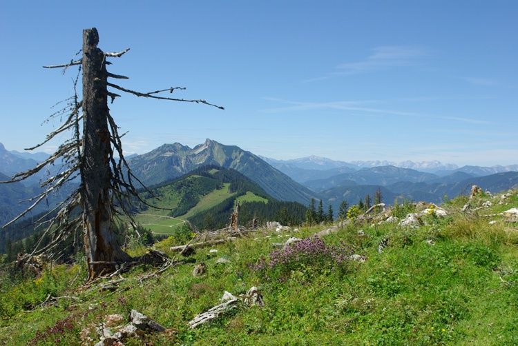 Haute Route Niederösterreich