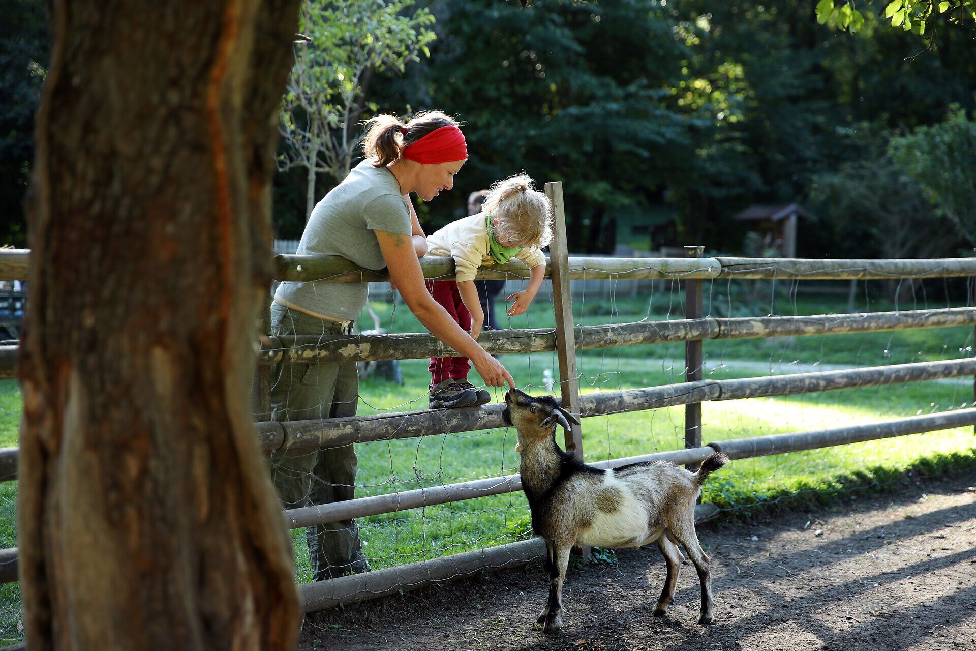 Eine Frau und ihr Kind lehnen an einem Zaun und streicheln eine Ziege im Naturpark Sierningtal. 