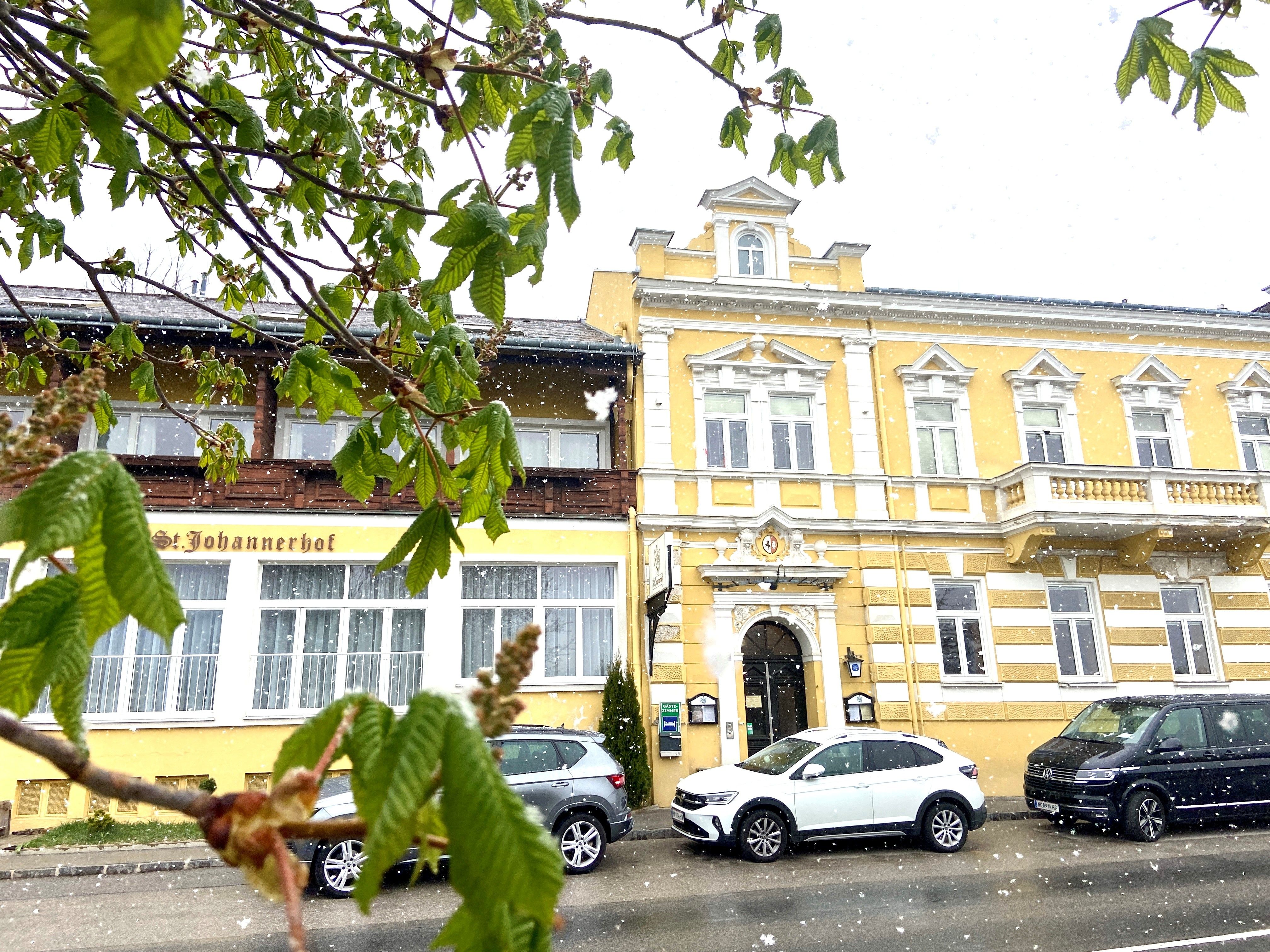 Gelbes Gebäude des Sankt Johannerhofs mit schneebedeckten Autos davor und grünen Blättern im Vordergrund.