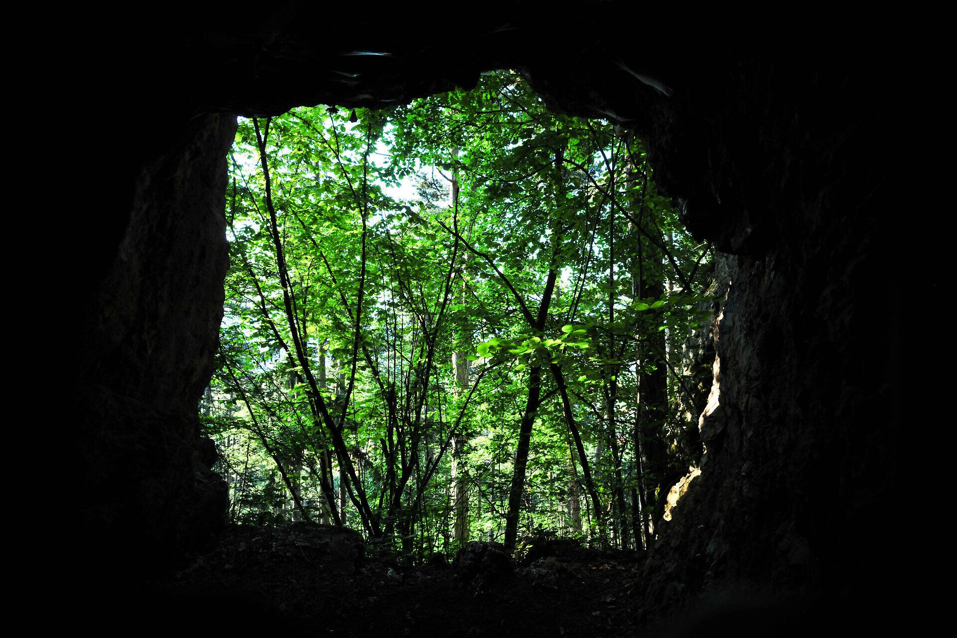 Ein sanfter Lichtstrahl durchbricht das dichte Blätterdach und taucht den Eingang der Höhle in ein magisches Licht. Die üppige Vegetation draußen verspricht Abenteuer und Erholung in der Natur. Hier, wo die Stille der Höhle auf das lebendige Grün des Waldes trifft, wird jeder Besucher von der Schönheit der Umgebung verzaubert.