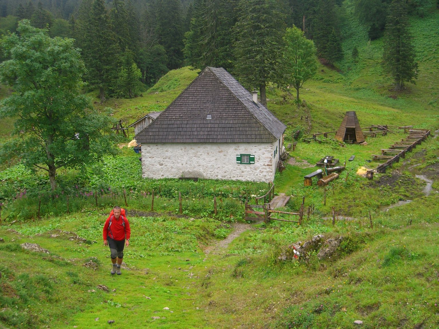 Wanderung auf die Herrenalm von Langau