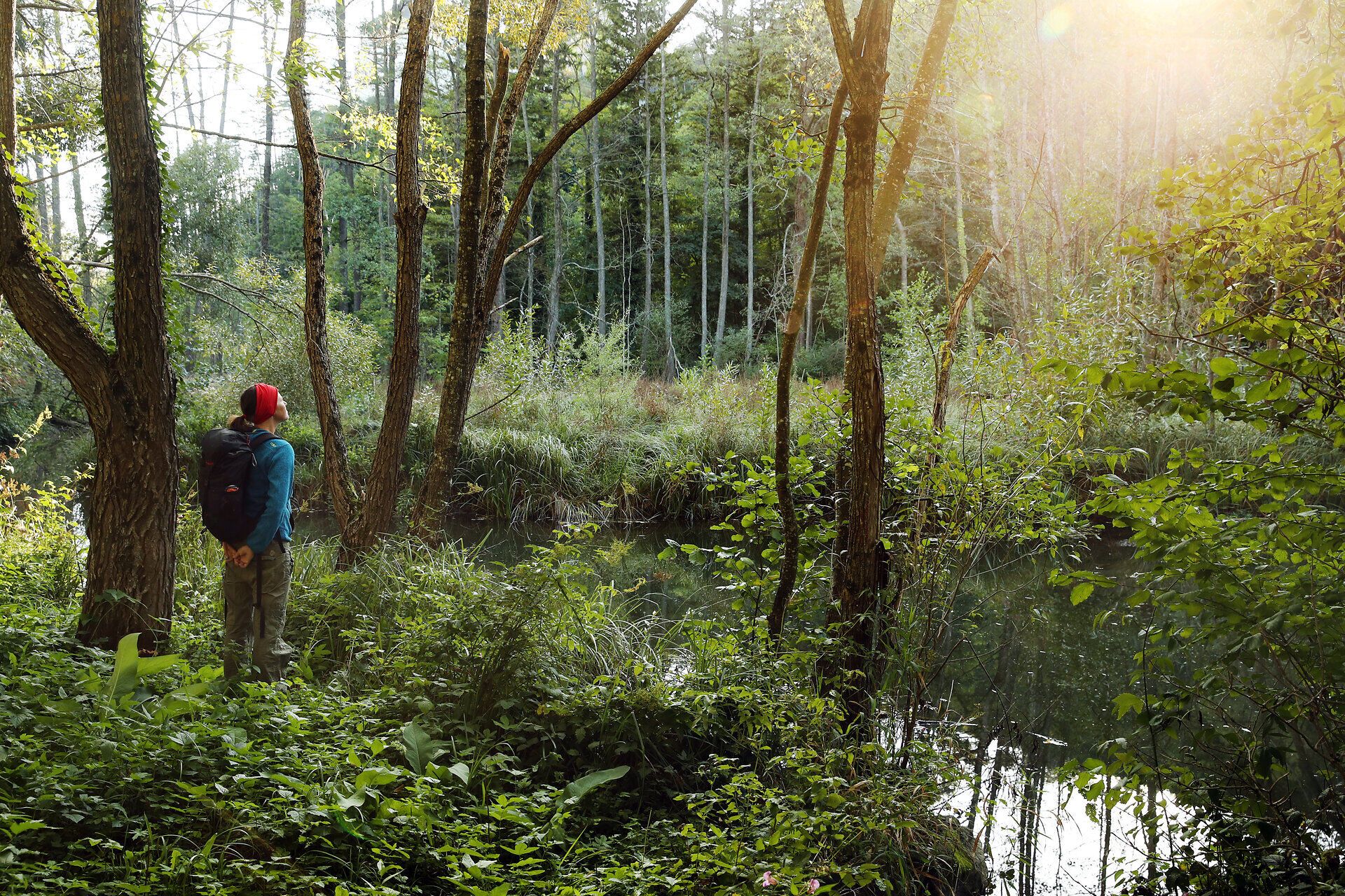 Eine Frau steht in einem dicht bewachsenen Bereich einer Böschung, welche sich rund um einen Teich im Naturpark Sierningtal erstreckt. 