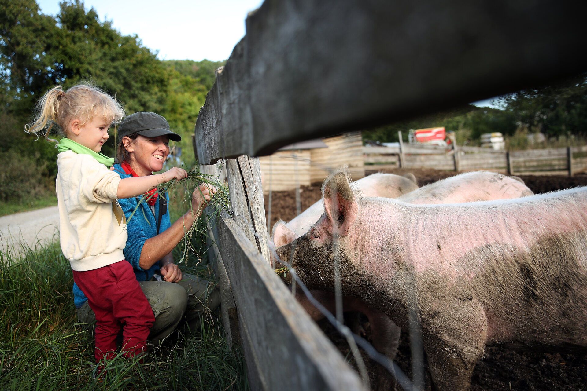Eine Frau und ihr Kind stehen am Zaun eines Schweinegeheges im Naturpark Sierningtal.