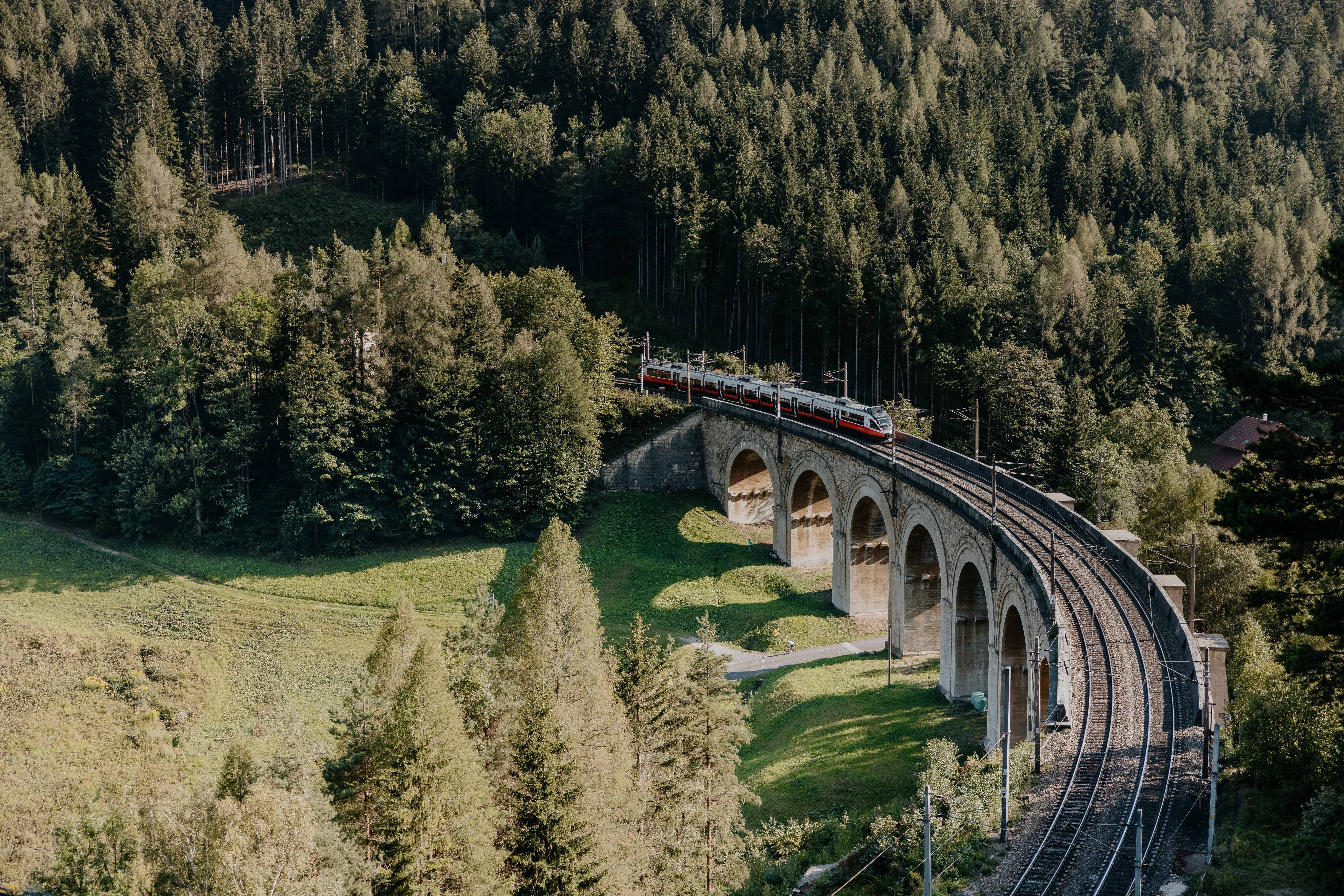 A train crosses a viaduct, trees in the surroundings