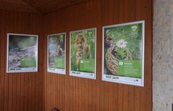 Die 4 Säulen Plakate in Flatz