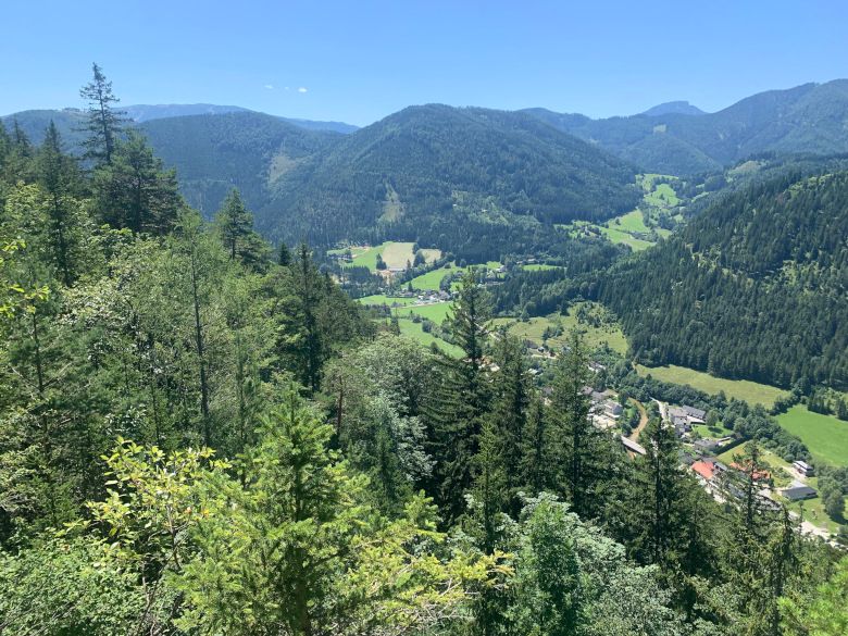 View of wooded mountains and a valley with meadows and houses in the Falkenstein Nature Park.